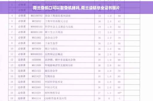 荷兰登机口可以取登机牌吗,荷兰读研毕业证书图片