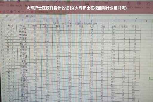 大专护士在校能得什么证书(大专护士在校能得什么证书呢)