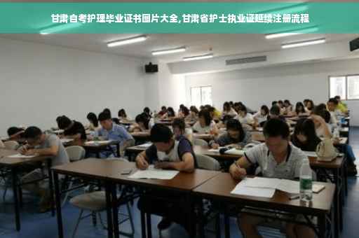 甘肃自考护理毕业证书图片大全,甘肃省护士执业证延续注册流程
