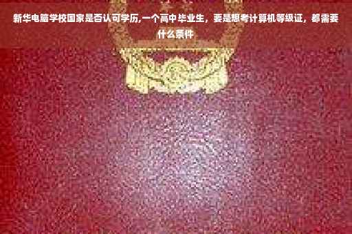 新华电脑学校国家是否认可学历,一个高中毕业生，要是想考计算机等级证，都需要什么条件