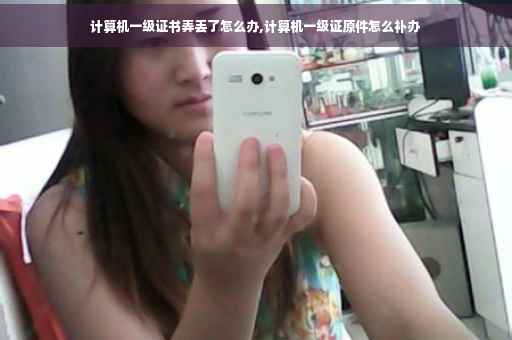 计算机一级证书弄丢了怎么办,计算机一级证原件怎么补办