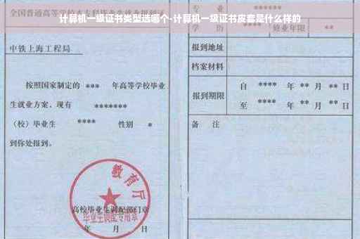 计算机一级证书类型选哪个-计算机一级证书皮套是什么样的