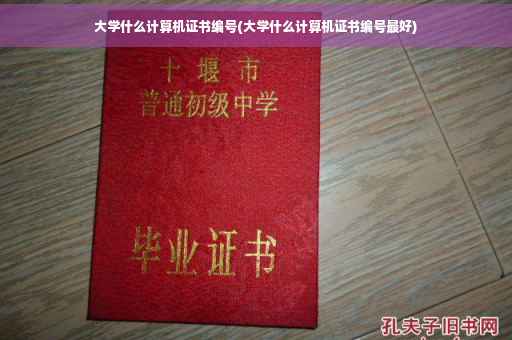 大学什么计算机证书编号(大学什么计算机证书编号最好)