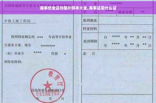 海事毕业证书图片样本大全,海事证是什么证