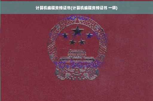 计算机编程资格证书(计算机编程资格证书 一级)