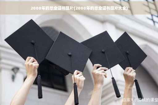 2000年的毕业证书图片(2000年的毕业证书图片大全)