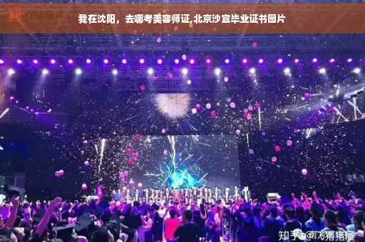 我在沈阳，去哪考美容师证,北京沙宣毕业证书图片
