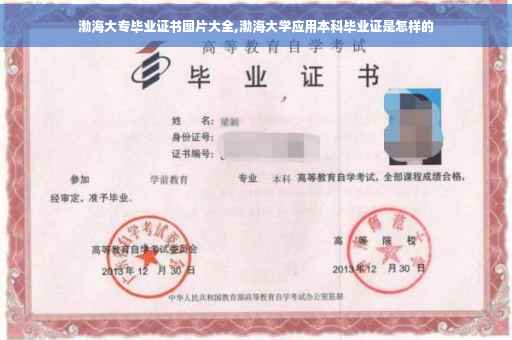 渤海大专毕业证书图片大全,渤海大学应用本科毕业证是怎样的