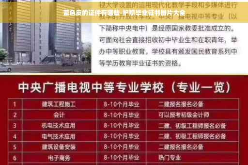 蓝色皮的证件有哪些-护照毕业证书图片大全