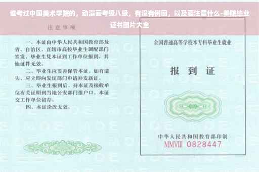 谁考过中国美术学院的，动漫画考级八级，有没有例图，以及要注意什么-美院毕业证书图片大全