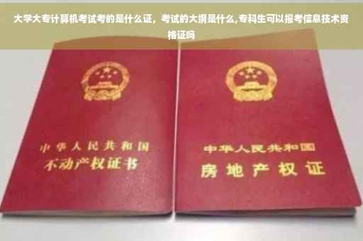 大学大专计算机考试考的是什么证，考试的大纲是什么,专科生可以报考信息技术资格证吗