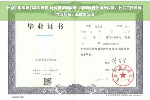 计算机中级证书怎么查询,计算机掌握程度、掌握何种外语及程度、社会工作经历、学习经历，具体怎么填