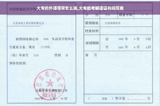 大专的外语等级怎么填,大专能考翻译证书吗河南