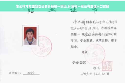 怎么样才能查到自己的计算机一级证,计算机一级证书查询入口官网