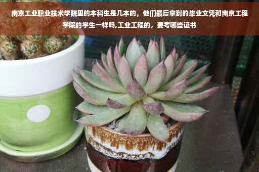 南京工业职业技术学院里的本科生是几本的，他们最后拿到的毕业文凭和南京工程学院的学生一样吗,工业工程的，要考哪些证书