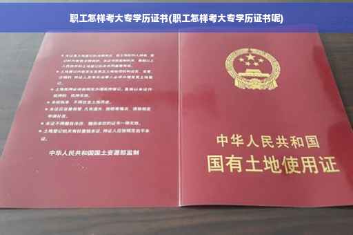 职工怎样考大专学历证书(职工怎样考大专学历证书呢)