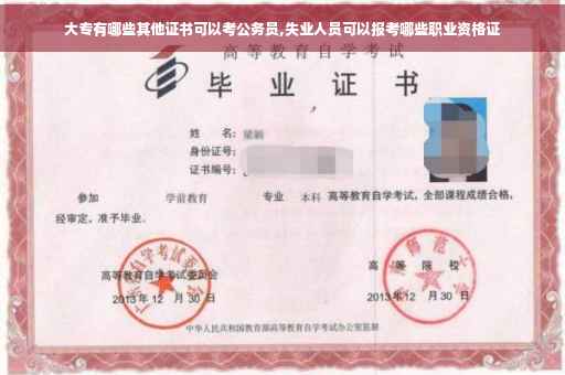大专有哪些其他证书可以考公务员,失业人员可以报考哪些职业资格证