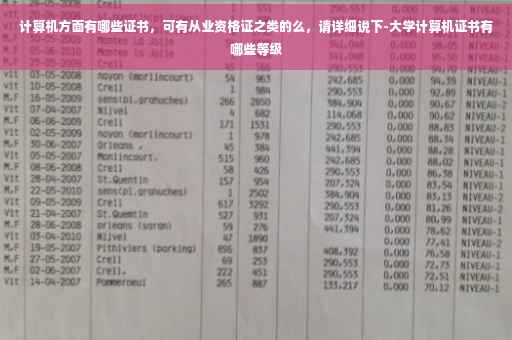 计算机方面有哪些证书，可有从业资格证之类的么，请详细说下-大学计算机证书有哪些等级