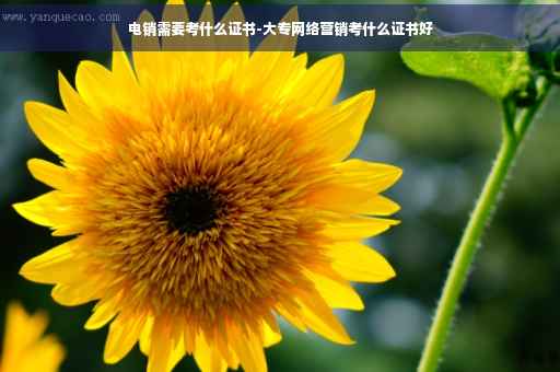 电销需要考什么证书-大专网络营销考什么证书好 电销需要考什么证书-大专网络营销考什么证书好