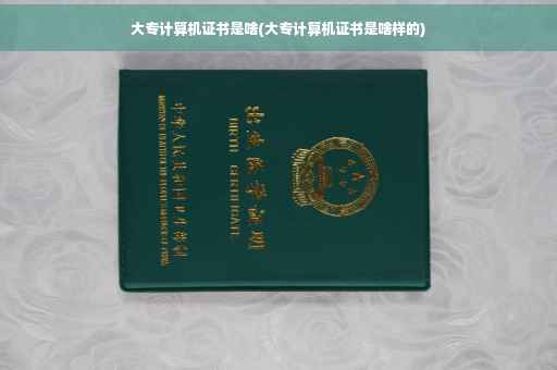 大专计算机证书是啥(大专计算机证书是啥样的)