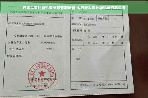自考大专计算机专业都有哪些科目,自考大专计算机证书怎么考