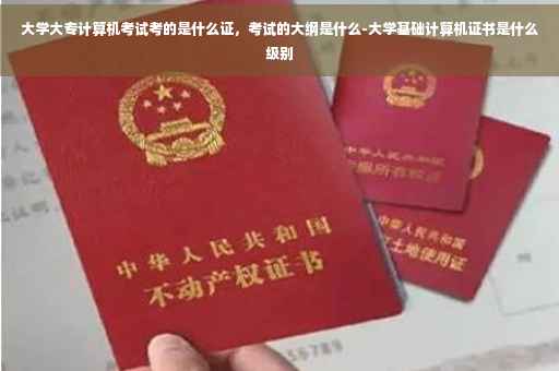 大学大专计算机考试考的是什么证，考试的大纲是什么-大学基础计算机证书是什么级别
