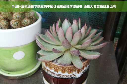 中国计算机函授学院发的中国计算机函授学院证书,函授大专英语毕业证书