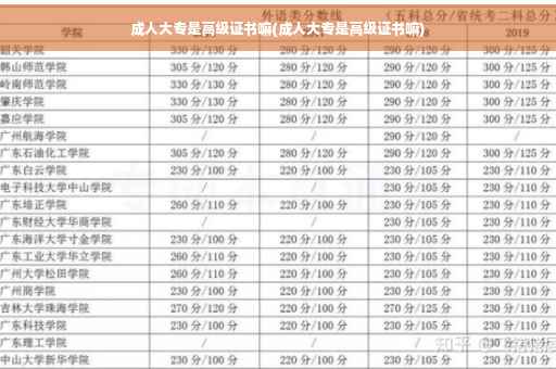 成人大专是高级证书嘛(成人大专是高级证书嘛)