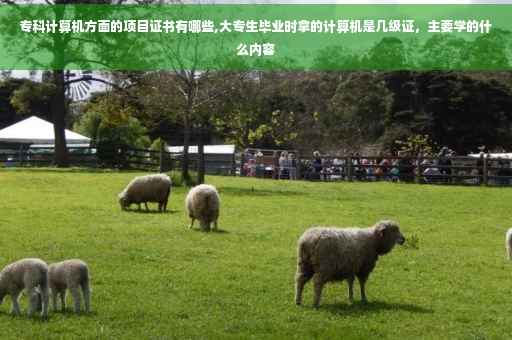专科计算机方面的项目证书有哪些,大专生毕业时拿的计算机是几级证，主要学的什么内容