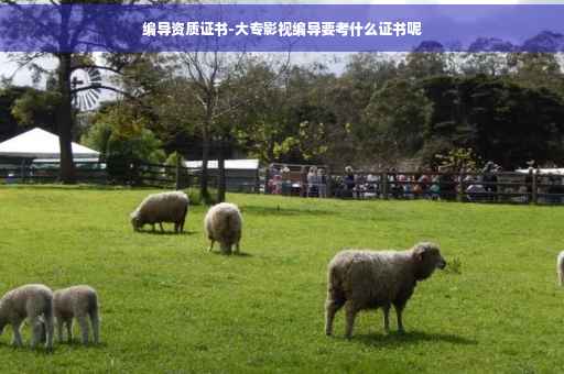 编导资质证书-大专影视编导要考什么证书呢