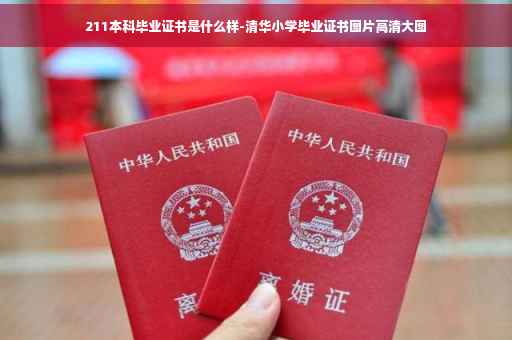 211本科毕业证书是什么样-清华小学毕业证书图片高清大图