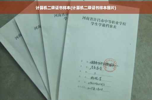 计算机二级证书样本(计算机二级证书样本图片)