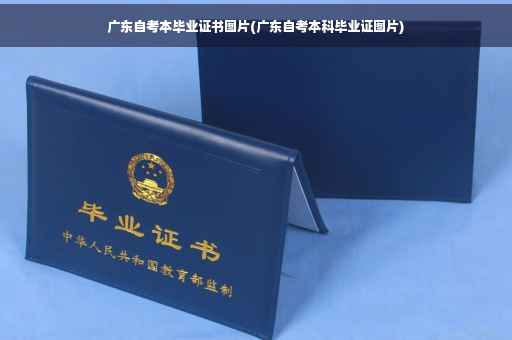 广东自考本毕业证书图片(广东自考本科毕业证图片)
