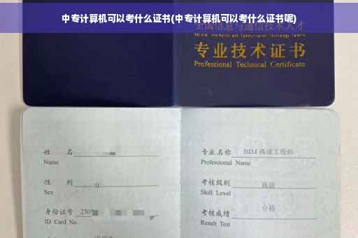 中专计算机可以考什么证书(中专计算机可以考什么证书呢)