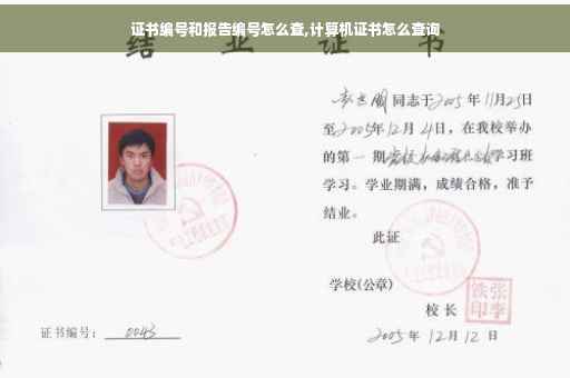 证书编号和报告编号怎么查,计算机证书怎么查询