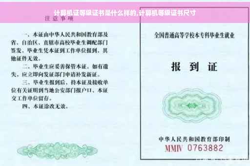 计算机证等级证书是什么样的,计算机等级证书尺寸