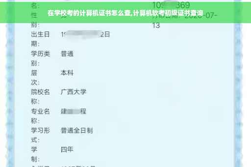 在学校考的计算机证书怎么查,计算机软考初级证书查询